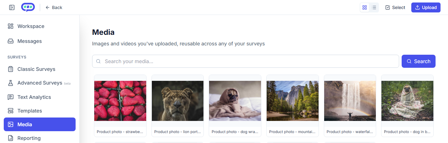 The Media Library page: a grid of uploaded images, each with a name, shared across every survey in the account